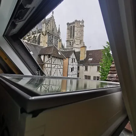 公寓 L'hibou De La Cathedrale - Hyper Centre - Jardin - Wifi *