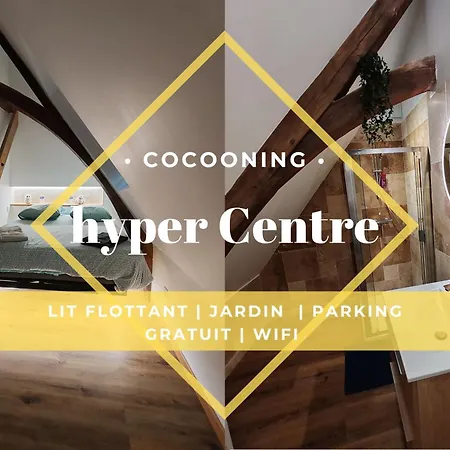 L'hibou De La Cathedrale - Hyper Centre - Jardin - Wifi 特鲁瓦