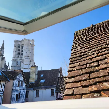 Apartman L'hibou De La Cathedrale - Hyper Centre - Jardin - Wifi