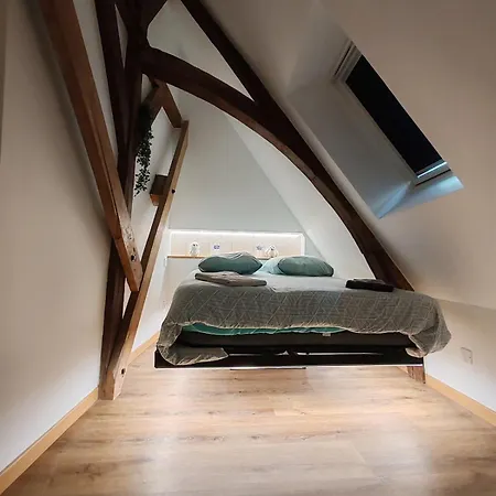 Apartman L'hibou De La Cathedrale - Hyper Centre - Jardin - Wifi