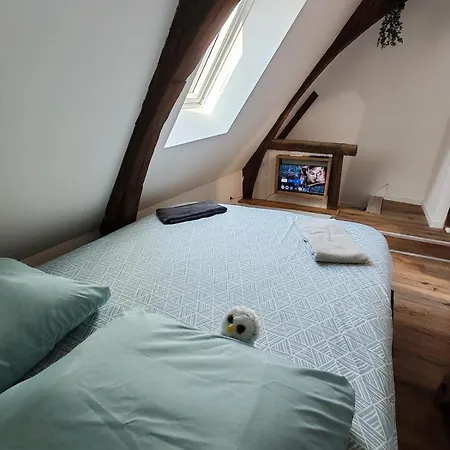 L'hibou De La Cathedrale - Hyper Centre - Jardin - Wifi