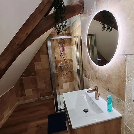 L'hibou De La Cathedrale - Hyper Centre - Jardin - Wifi Apartment *