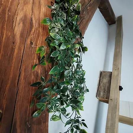 L'hibou De La Cathedrale - Hyper Centre - Jardin - Wifi 公寓 特鲁瓦