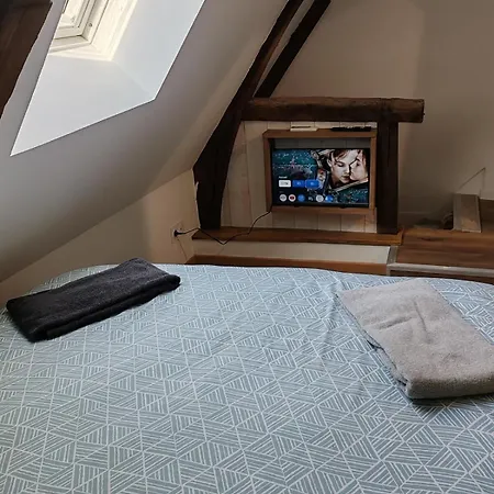 L'hibou De La Cathedrale - Hyper Centre - Jardin - Wifi Apartman *
