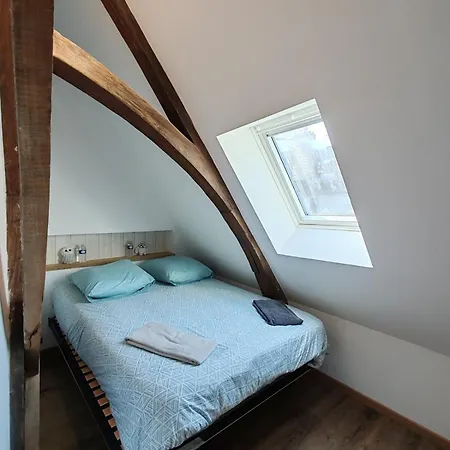 L'hibou De La Cathedrale - Hyper Centre - Jardin - Wifi * 特鲁瓦