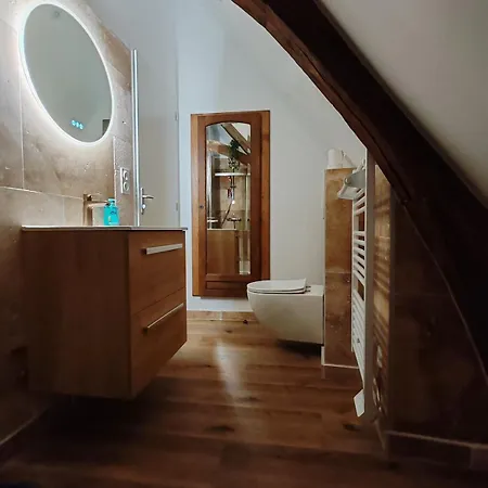 L'hibou De La Cathedrale - Hyper Centre - Jardin - Wifi Apartment *