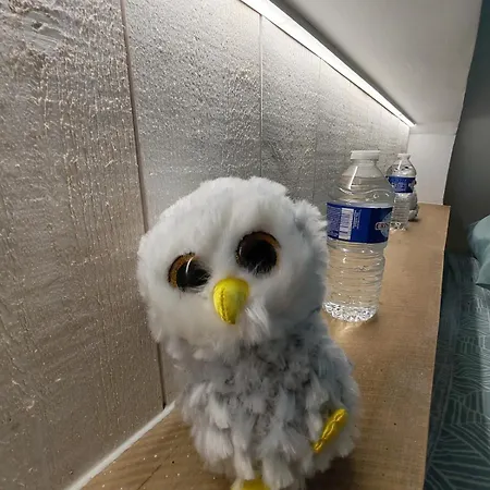 L'hibou De La Cathedrale - Hyper Centre - Jardin - Wifi Apartment Troyes