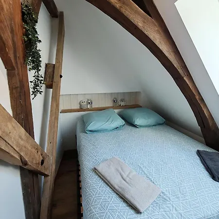 L'hibou De La Cathedrale - Hyper Centre - Jardin - Wifi * 特鲁瓦
