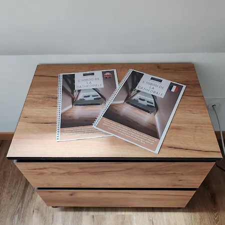 公寓 L'hibou De La Cathedrale - Hyper Centre - Jardin - Wifi *