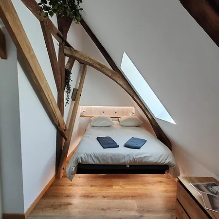 L'hibou De La Cathedrale - Hyper Centre - Jardin - Wifi 公寓 特鲁瓦